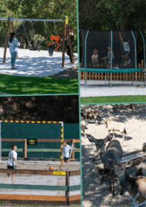 σχολικές εκδρομές από θεσσαλονίκη