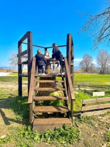 πάρκο αγίου βασιλείου