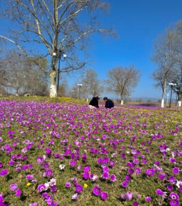 παραλίμνιο πάρκο αγίου βασιλείου
