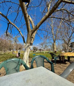 ψαροταβέρνα πύργος άγιος βασίλειος