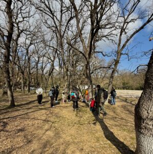 εργαστήρια χαράς στο δάσος από την Νικολέτα Λιλιδέρη