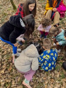 εξερεύνηση του δάσους με παιδιά