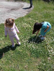 ράκοβο σοχού