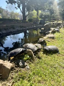 Πεδιον του Αρεως κέντρο Θεσσαλονίκης