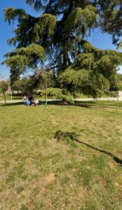 Πάρκο πεδίον Άρεως Θεσσαλονίκη