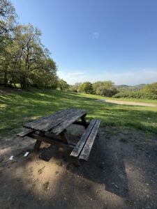 πάρκο κουρί ασβεστοχώρι