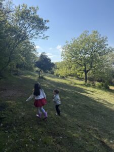 πάρκο κουρί ασβεστοχώρι