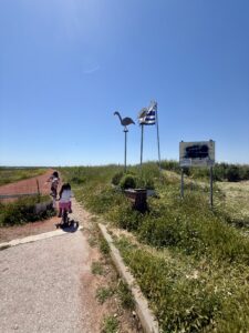 κόκκινος δρόμος λιμνοθάλασσα καλοχωρίου