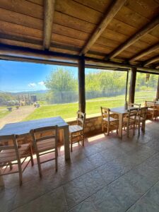 Πολυθέαση Βέροια