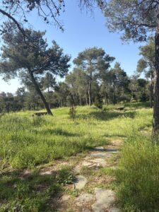 πάρκο ατλαντίδα σειχ σου