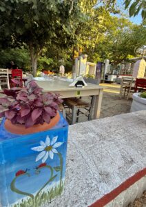 τσουκνίδα ασβεστοχώρι εστιατόριο
