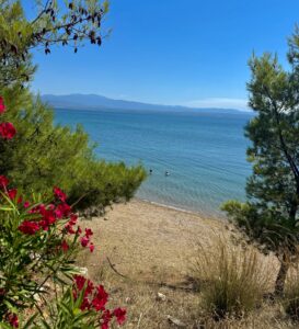 eva camping ερετρια