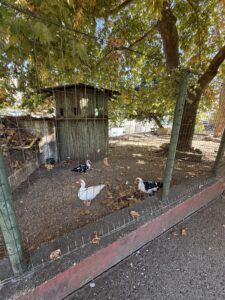 πάρκο αγίας βαρβάρας δράμα