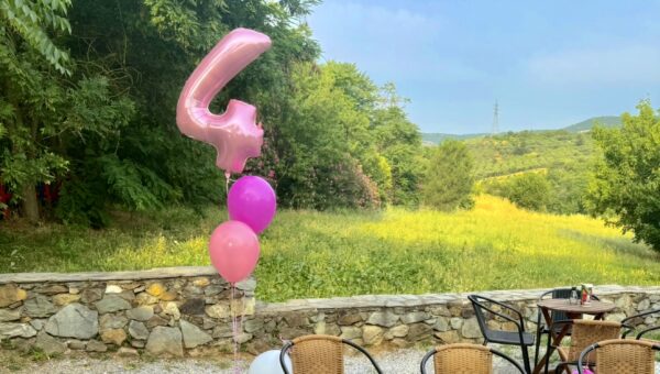 Χώροι για Παιδικά Πάρτυ Θεσσαλονίκη