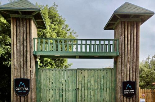 σχολική εκδρομή στο olympus forest park