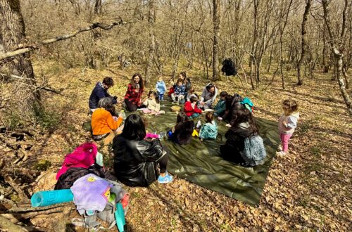 εργαστήρια χαράς στο δάσος με την Νικολέτα Λιλιδέρη