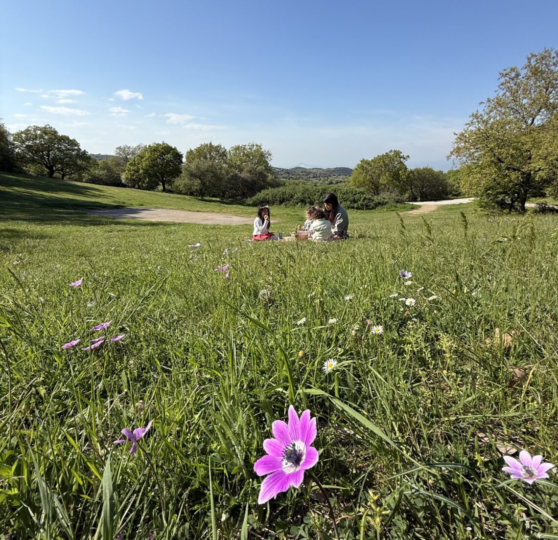 πάρκο κουρί ασβεστοχώρι