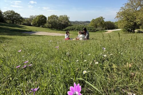 πάρκο κουρί ασβεστοχώρι