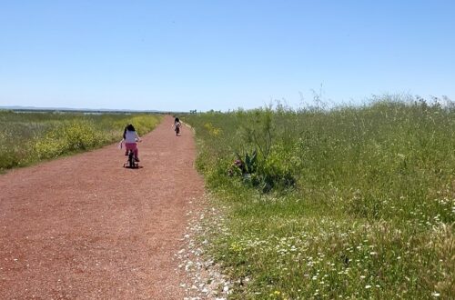 κόκκινος δρόμος στην λιμνοθάλασσα καλοχώρι