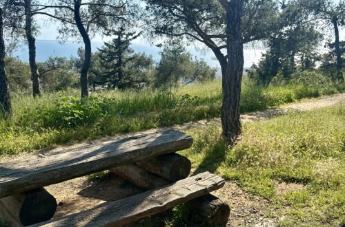 πάρκο ατλαντίδα σειχ σου τραπεζάκια για πικ νικ