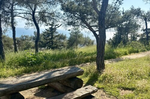 πάρκο ατλαντίδα σειχ σου τραπεζάκια για πικ νικ
